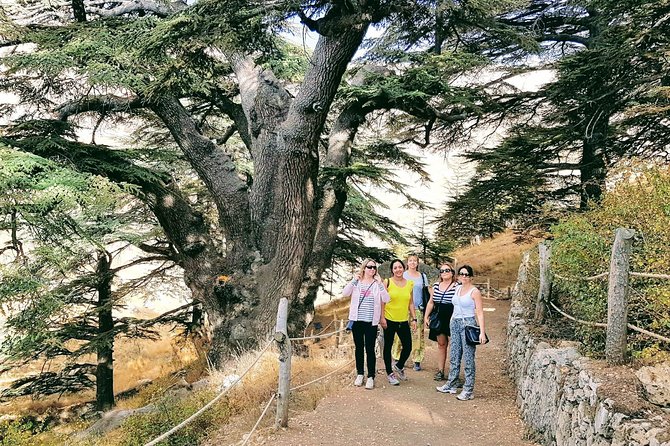 Small-Group Tour with Lunch to Qadisha Valley, Bcharre and Cedars - Bcharre, a mountain town with two very different identities