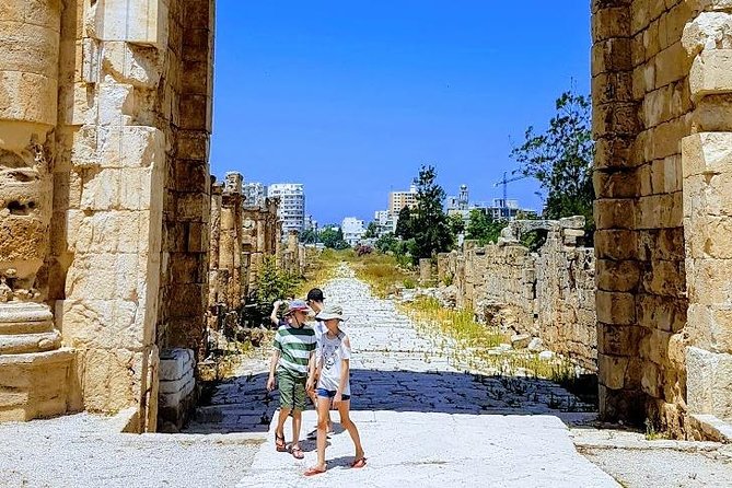Small-Group Tour with Lunch to Sidon, Tyre & Maghdouche - Who should book this experience?