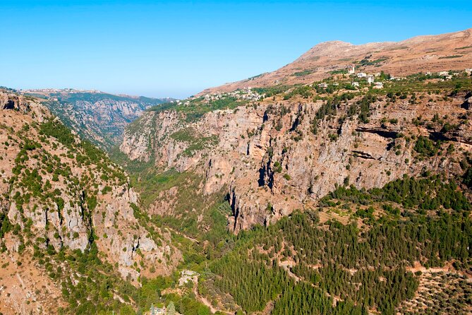 Small Group Tours from to Baalbek, Cedars and Qozhaya with lunch and all fees - The Cedars of God: Lebanon’s national symbol