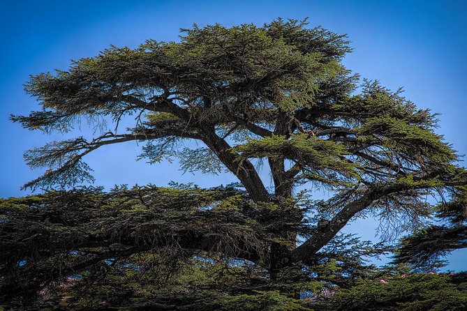 Unlocking the Wonders of Lebanon: Journey Through Qadisha Valley - Deir Qozhaya, where hermits sought solitude