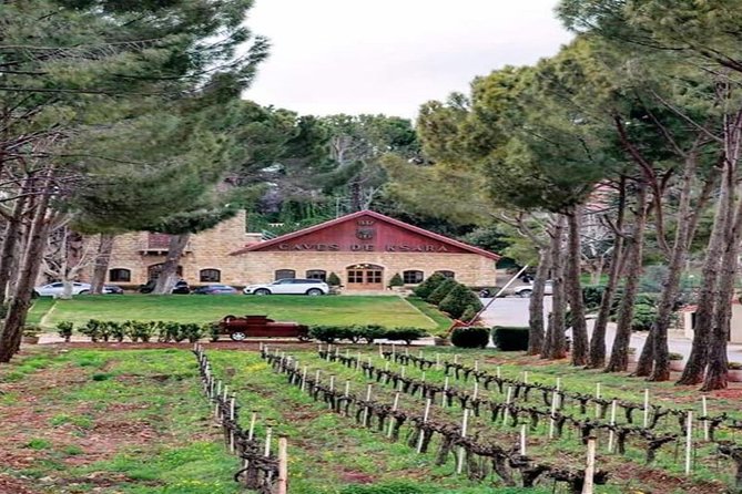 Unveiling the Charms of Chouf Cedars, Baalbek Temples & Ksara - Transport, timing, and the value of a private group