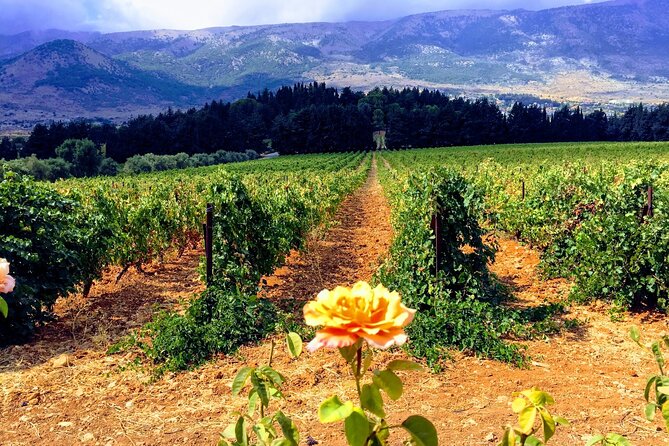 Wine Tasting and Culture - The Stone of the Pregnant Woman and Roman scale