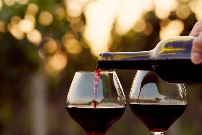 Wine Tasting Tour